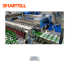 Compact Design Automatic Cover Small Area Polybag Packing Machine